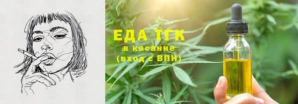 СК Вязьма
