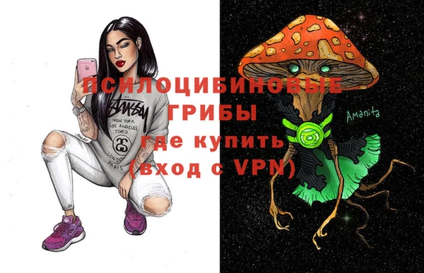 СК Вязьма