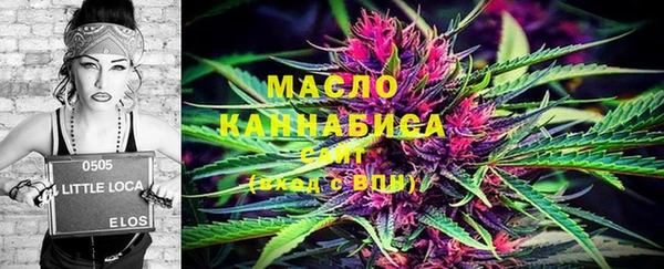СК Вязьма