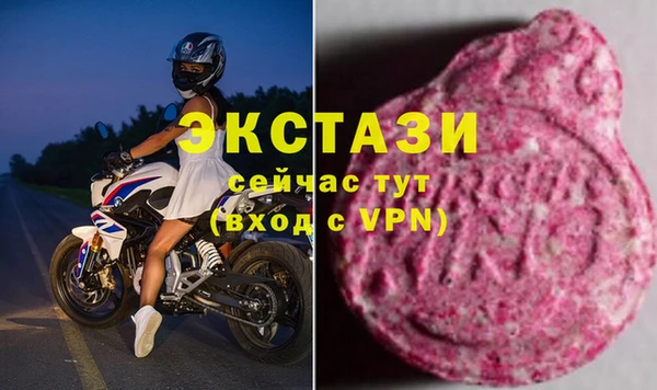 СК Вязьма