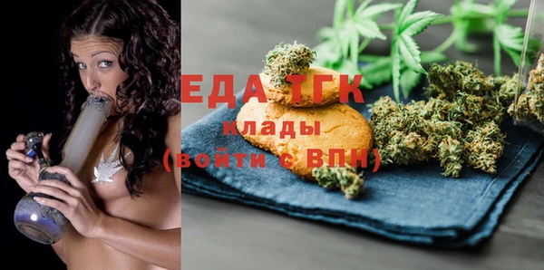 СК Вязьма