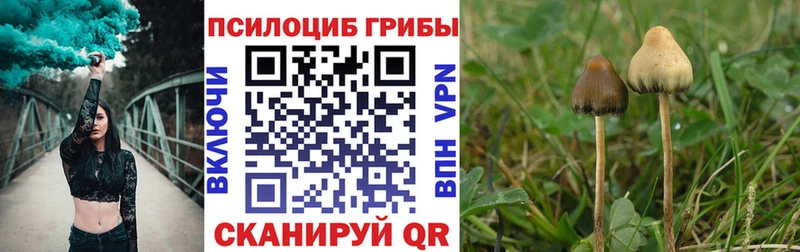 Псилоцибиновые грибы прущие грибы  Купить  Белебей 