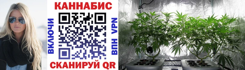 Купить закладки  Белебей  Конопля марихуана 